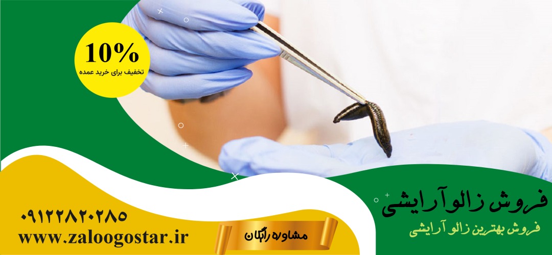 خرید زالو آرایشی