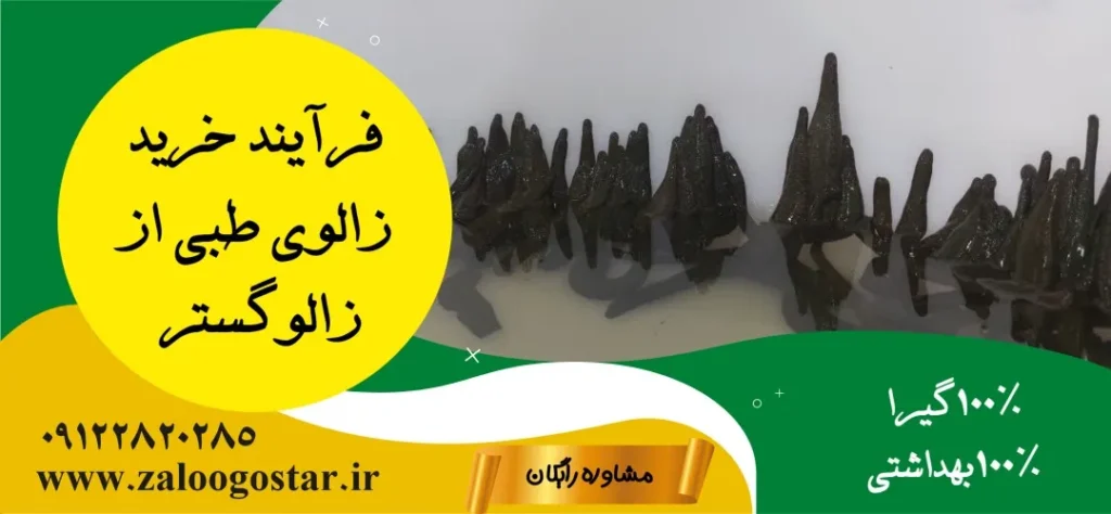 خرید زالوی طبی