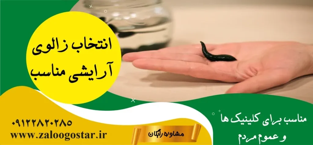 خرید زالوی آرایشی