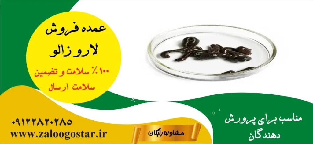 خرید لارو زالو