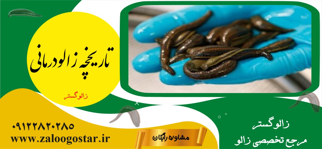 تاریخچه زالودرمانی