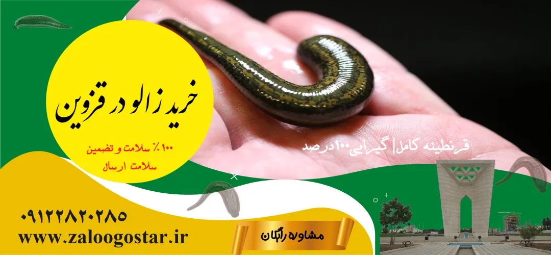 خرید زالو در قزوین