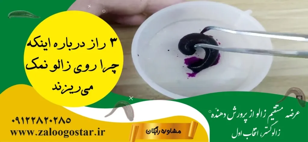 چرا روی زالو نمک می‌ریزند