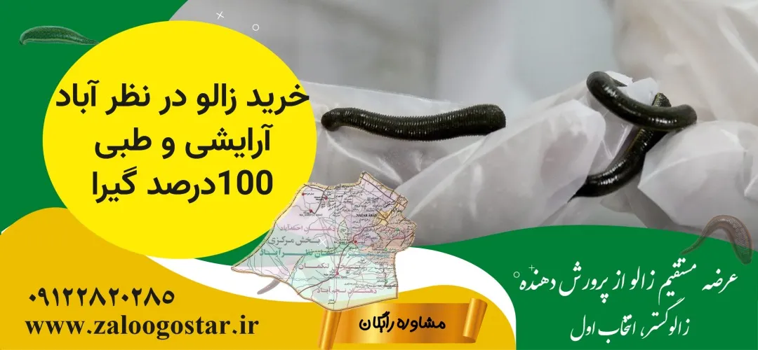 خرید زالو در نظرآباد