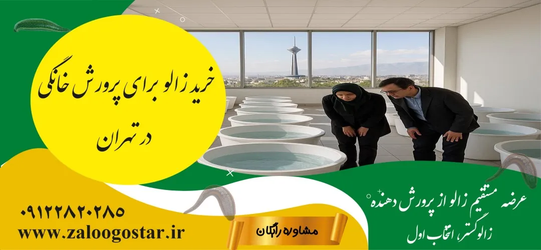 خرید زالو برای پرورش خانگی در تهران