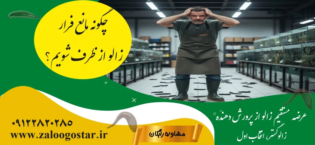 چگونه مانع فرار زالو از ظرف شویم؟ (راهنمای صفر تا صد ایزوله‌سازی فارم)