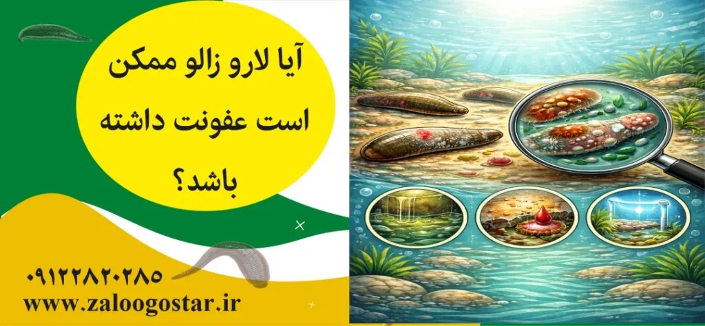 آیا لارو زالو ممکن است عفونت داشته باشد؟