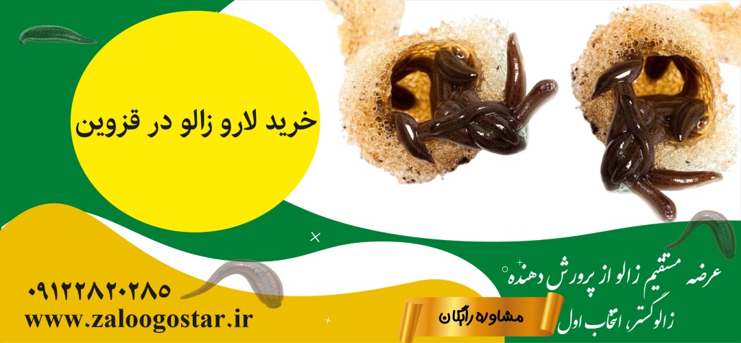 خرید لارو زالو در قزوین